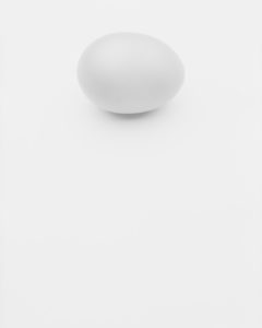 Black & White Photograph Of An Egg On A White Background